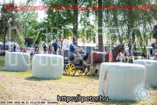 Mintakép 20260613-1078