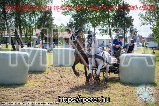 Mintakép 20260613-1079