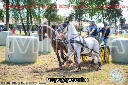 Mintakép 20260613-1081