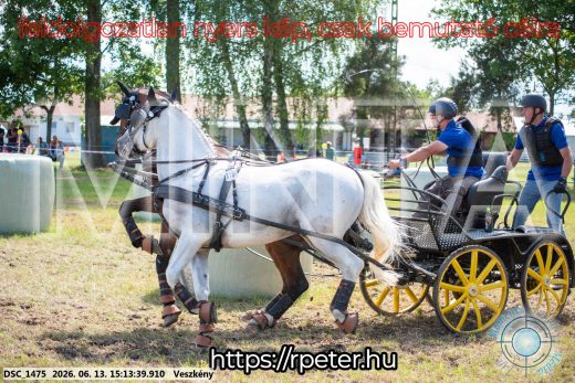Mintakép 20260613-1084