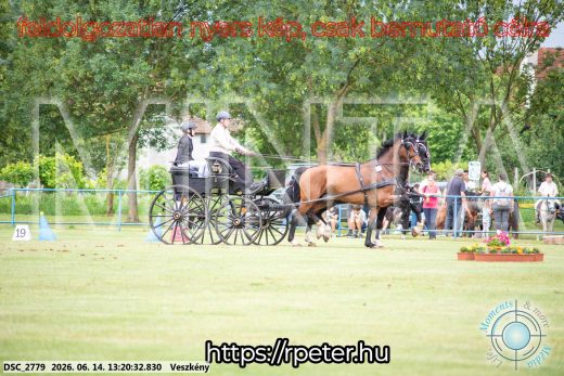 Mintakép 20260614-376