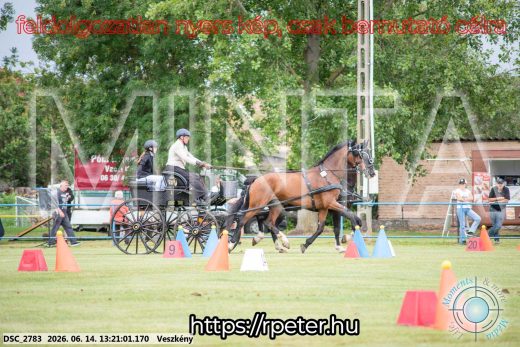 Mintakép 20260614-377