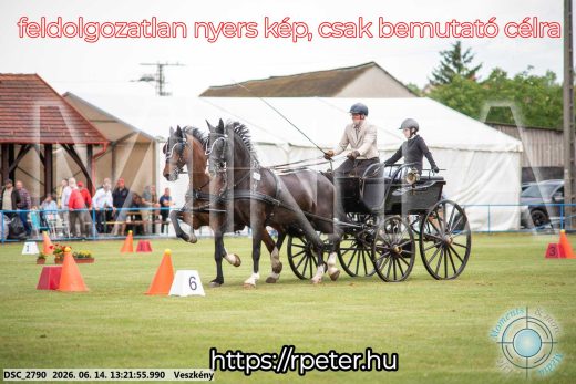 Mintakép 20260614-383