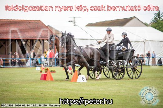 Mintakép 20260614-384