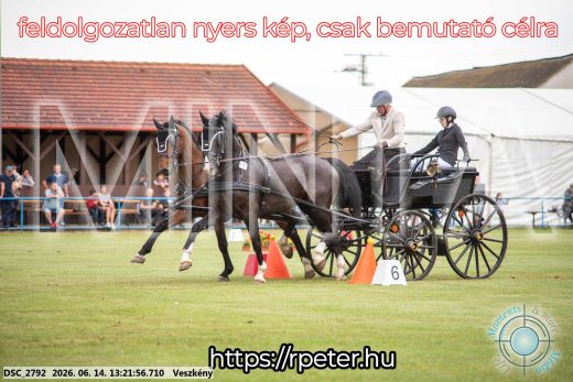 Mintakép 20260614-385