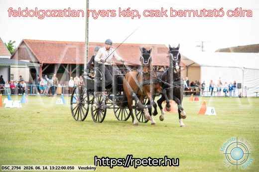 Mintakép 20260614-387