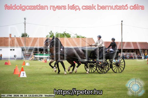 Mintakép 20260614-389