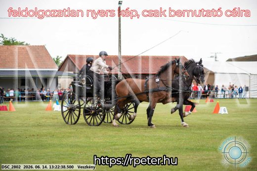 Mintakép 20260614-391