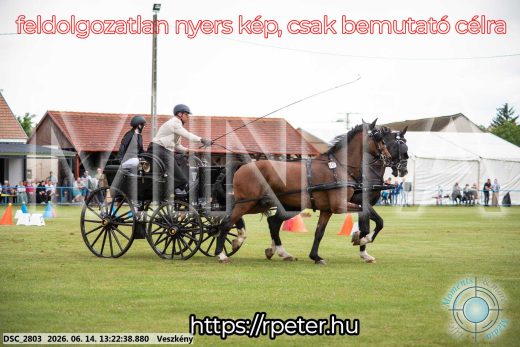 Mintakép 20260614-392