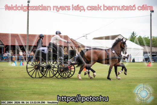 Mintakép 20260614-393