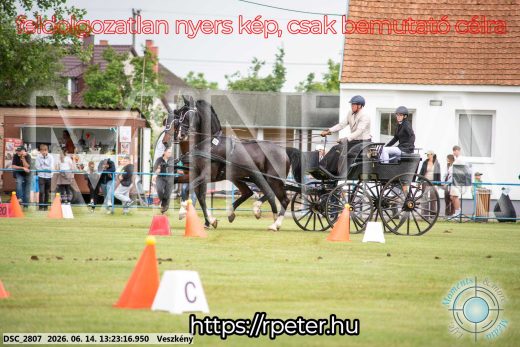 Mintakép 20260614-396