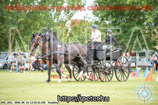 Mintakép 20260614-400