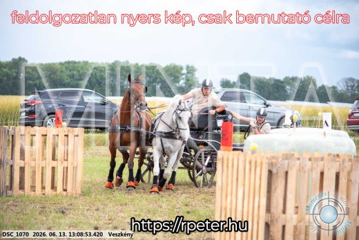 Mintakép 20260613-17