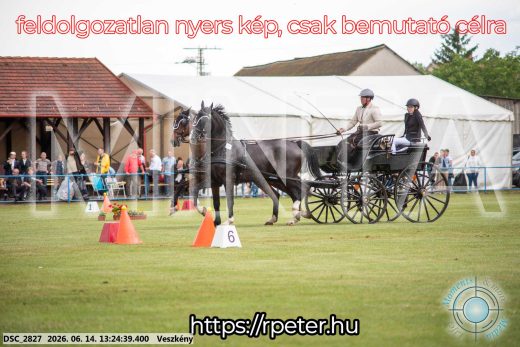 Mintakép 20260614-408