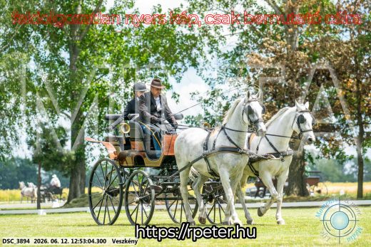 Mintakép 20260612-573