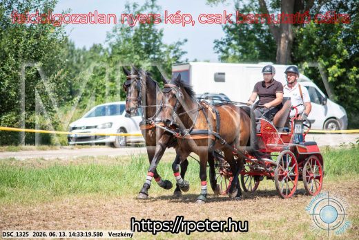 Mintakép 20260613-1085