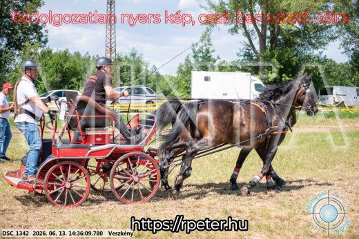 Mintakép 20260613-1090