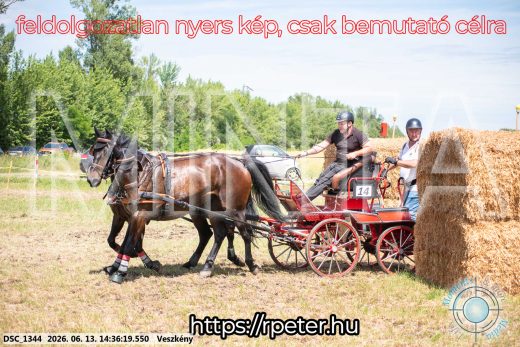 Mintakép 20260613-1092