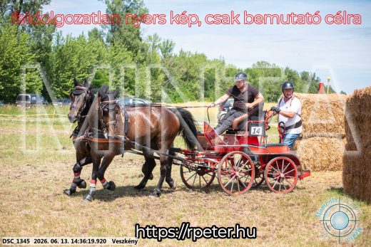 Mintakép 20260613-1093