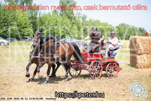 Mintakép 20260613-1094