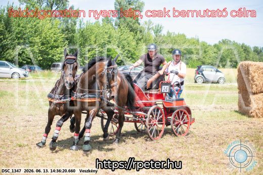 Mintakép 20260613-1095