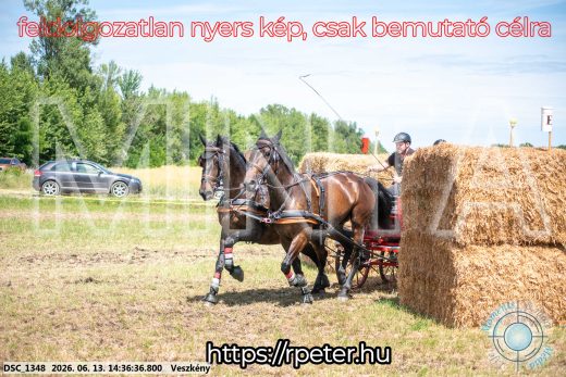 Mintakép 20260613-1096
