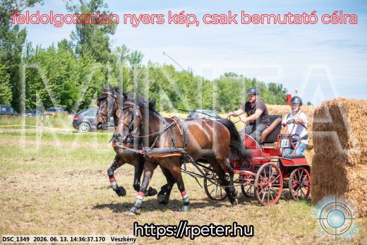 Mintakép 20260613-1097