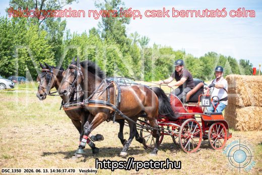 Mintakép 20260613-1098