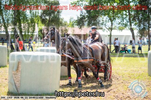 Mintakép 20260613-1101
