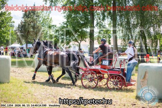 Mintakép 20260613-1102