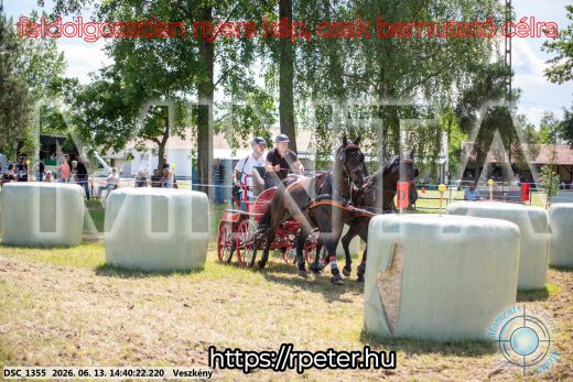 Mintakép 20260613-1103