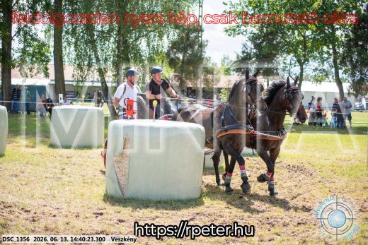 Mintakép 20260613-1104