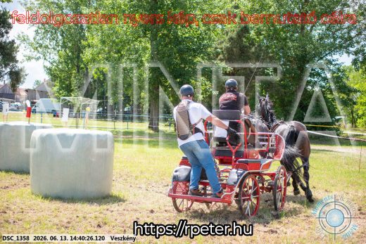 Mintakép 20260613-1106
