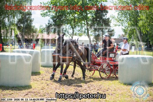 Mintakép 20260613-1107