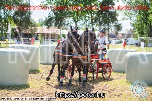 Mintakép 20260613-1108