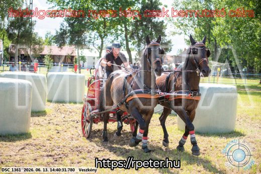 Mintakép 20260613-1109