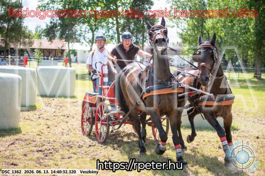 Mintakép 20260613-1110
