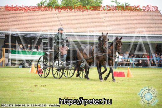 Mintakép 20260614-409