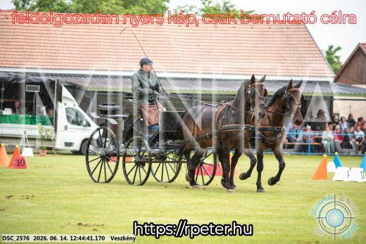 Mintakép 20260614-410