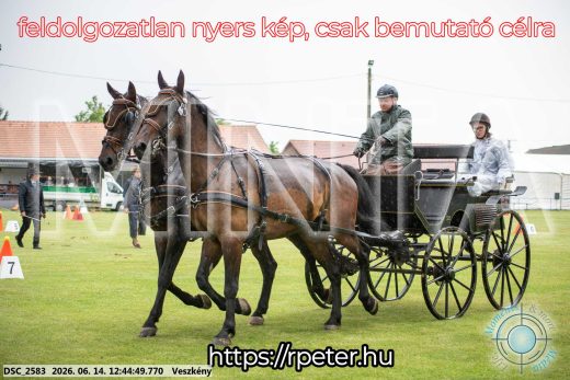 Mintakép 20260614-412