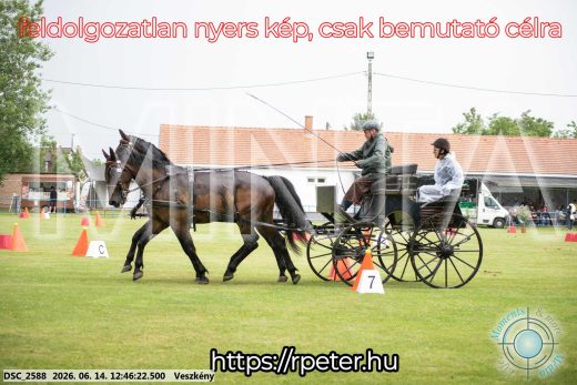 Mintakép 20260614-413