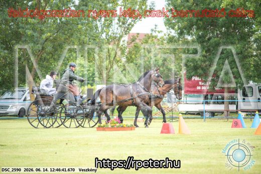 Mintakép 20260614-414