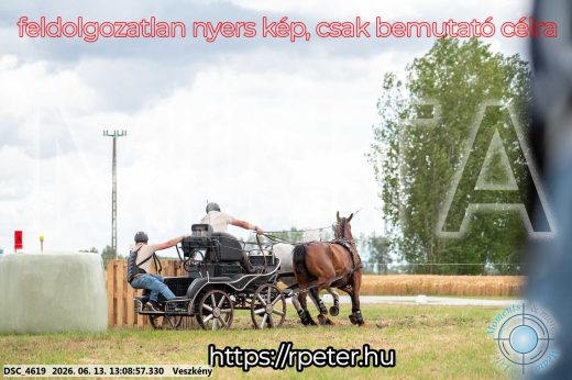 Mintakép 20260613-21
