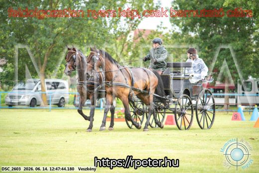 Mintakép 20260614-418
