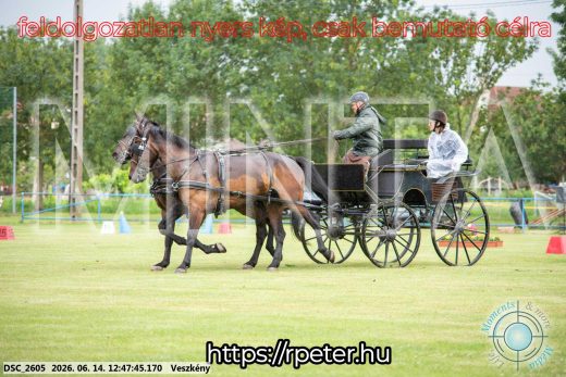 Mintakép 20260614-419