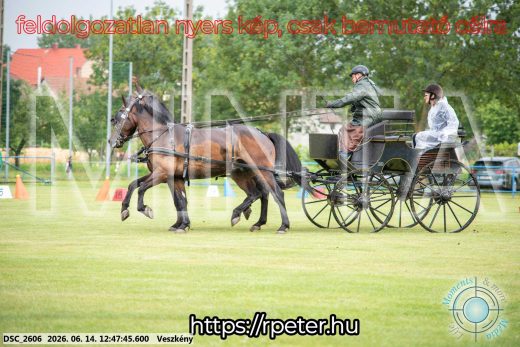 Mintakép 20260614-420