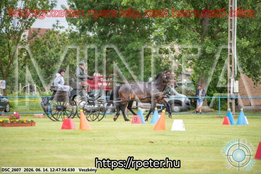 Mintakép 20260614-421