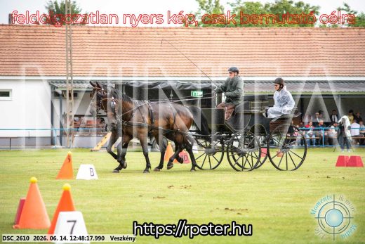 Mintakép 20260614-423