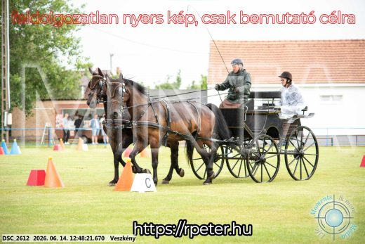 Mintakép 20260614-425