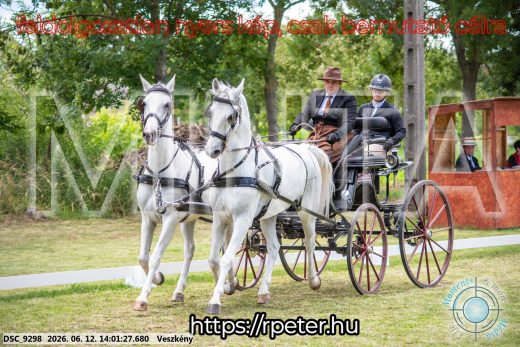 Mintakép 20260612-577